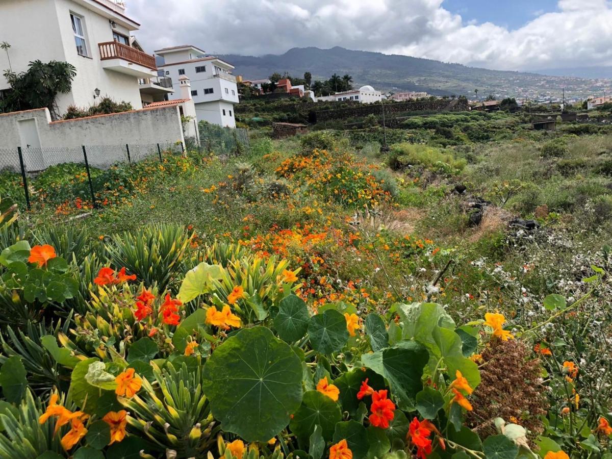 Appartement Residenz Traumblick à Puerto de la Cruz  Extérieur photo